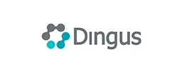 dingus.png